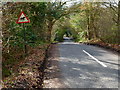 Looking west on Tadpole Lane