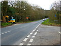 Looking south on Beacon Hill Road from Tadpole Lane