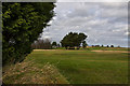 Wilpshire moor manicured into a golf course