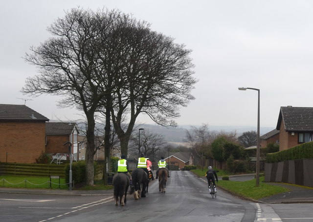 Cyclist and Riders on Kirk Edge Road, Worrall, near Oughtibridge