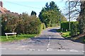 White Hart Lane, Cadnam