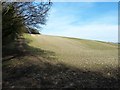 Fields and footpath north of bend in Arrewig Lane