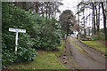 Driveway to Loch na Bo House