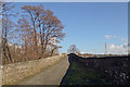 Tullibody Old Bridge