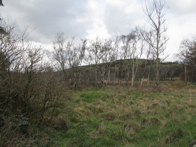 Wetland west of the A7 © Eric Jones :: Geograph Ireland