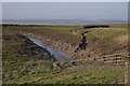 South Gloucestershire : Severn Estuary