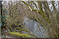 Looking down the river Yeo from Rawstone Bridge