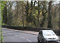 The tree-lined A24 on the southern outskirts of Ballynahinch