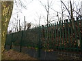 Railway and tree in Gippeswyk Park