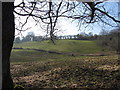 Fields near Ystrad Mynach