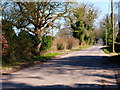 Looking northwards on Alton Lane