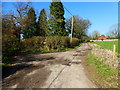 Looking north on Barn Lane with byway junction on the left