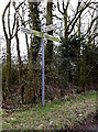 TM2796 : Roadsign on Woodton Road by Geographer