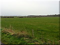 Flat landscape at Derryinver