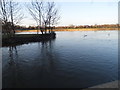 The Thames by the tip of Baths Island, Windsor