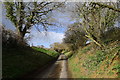 Climbing a coombe to Coombe Cottages