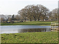 Flooded fields