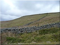 SD7890 : Wall separating Cote Wold from Garsdale Common by Christine Johnstone
