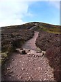 NT2061 : The path to the summit of Carnethy Hill by Gordon Brown