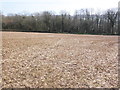 Field of stubble, Pitt Farm