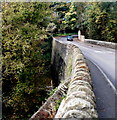 South side of the Cleeve Road bridge over the River Frome, Frenchay