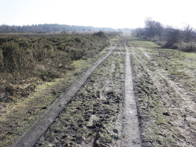 Track on Black Down Common