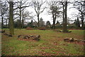 Wild area, Eltham Cemetery