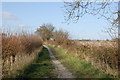 Track towards White House Farm