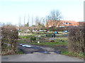 Allotments at Edingley