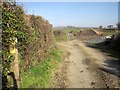 Footpath near Ottery