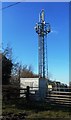 Telecoms Mast at Sandyford Farm