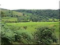 Farmland, Antrim coast