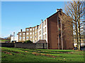 Rear of Belville Street shops