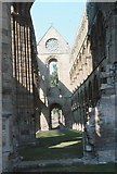 NT6520 : The ruins of the nave of Jedburgh Abbey by David Smith