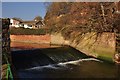 Sidmouth : The River Sid