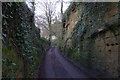 Ratleigh Lane leading out of Stallen