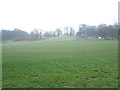 Playing Fields - Thornes Park