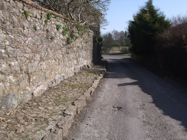 Sarsen wall and pavement, Berwick Bassett