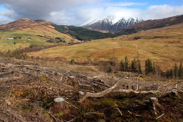 Clear-felled forest by the River Kiachnish