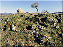 NH5756 : Mulchaich Chambered Cairn by Julian Paren