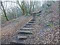 The foot of the stepped path up to Alderley Edge