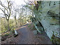 The path along Alderley Edge near Wizard