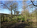 Stile and gate near White Barn Farm