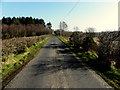 Loughbracken Road, Moboy