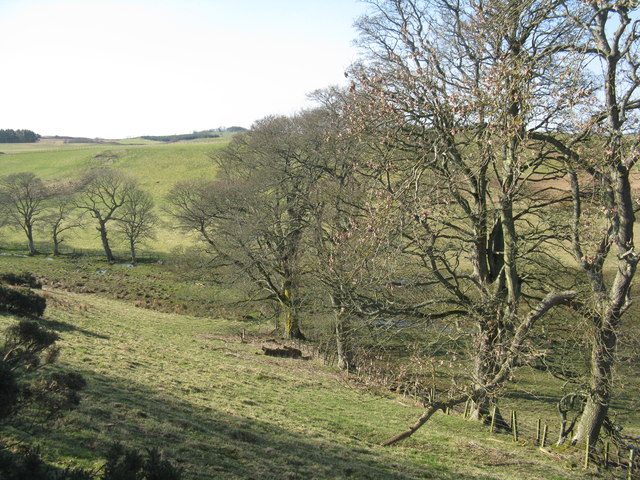 Fields and trees at Edgelaw