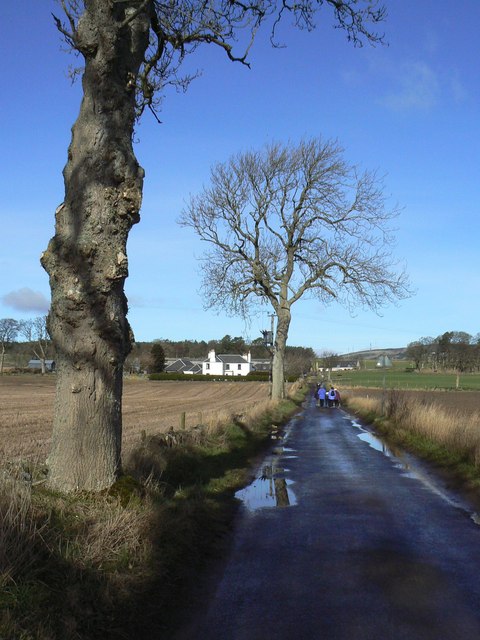 Templeton between the trees