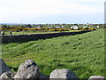 Hayfield on the western side of Mill Road