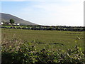 Manured fields east of Mill Road, Annalong