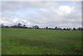 Fields north of Westerfield