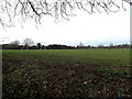TM2396 : Saxlingham Nethergate Playing Field by Geographer